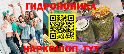 гашик Ачхой-Мартан